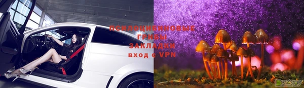 ГАЛЛЮЦИНОГЕННЫЕ ГРИБЫ Алзамай