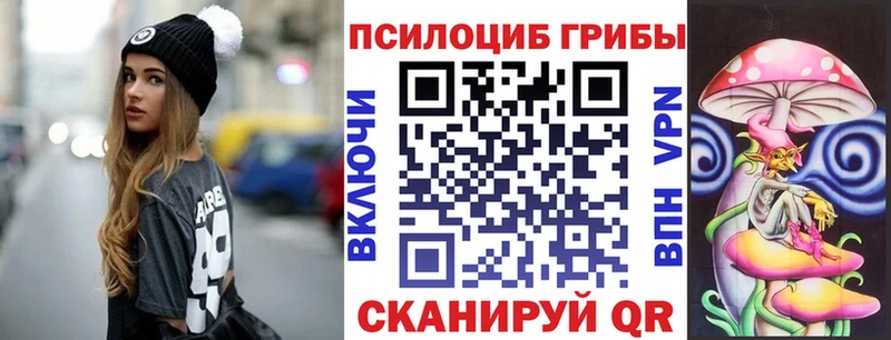 гидра зеркало  купить наркотик  Жиздра  Галлюциногенные грибы мухоморы 